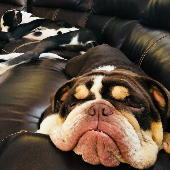 Meet your Posher, Amy. - Picture 6 of 8